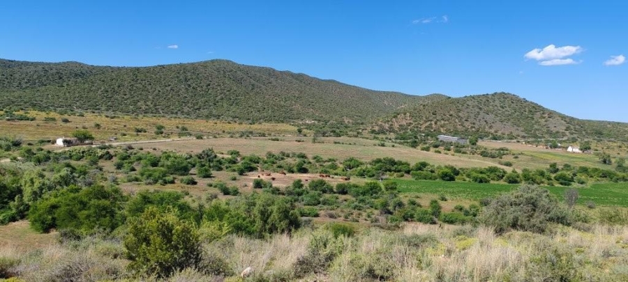 0 Bedroom Property for Sale in Oudtshoorn Rural Western Cape